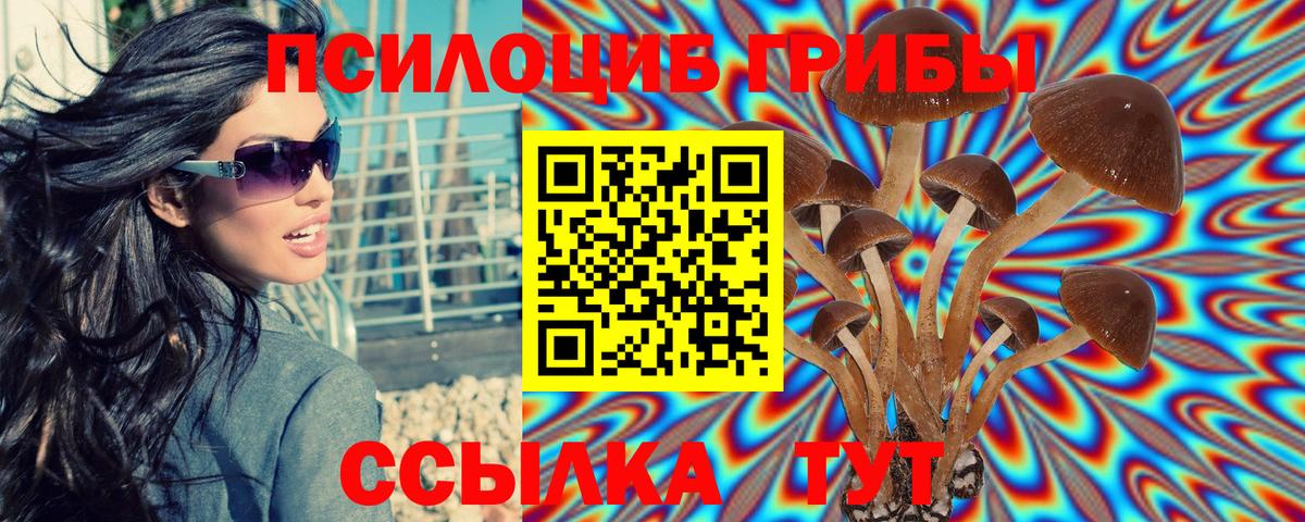 Псилоцибиновые грибы мухоморы  Псилоцибиновые грибы Cubensis  Омск  дарнет шоп  Вход с VPN 